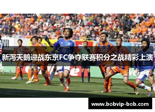 新泻天鹅迎战东京FC争夺联赛积分之战精彩上演