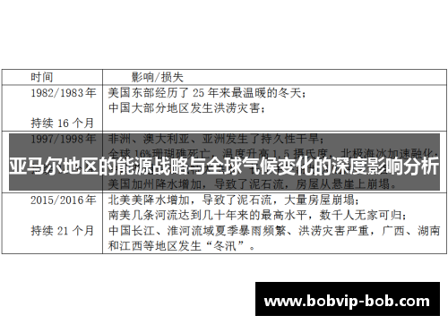 亚马尔地区的能源战略与全球气候变化的深度影响分析