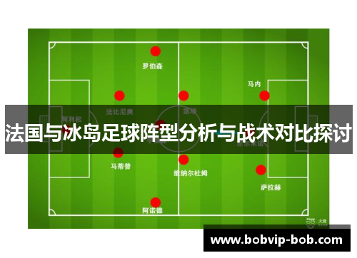 法国与冰岛足球阵型分析与战术对比探讨